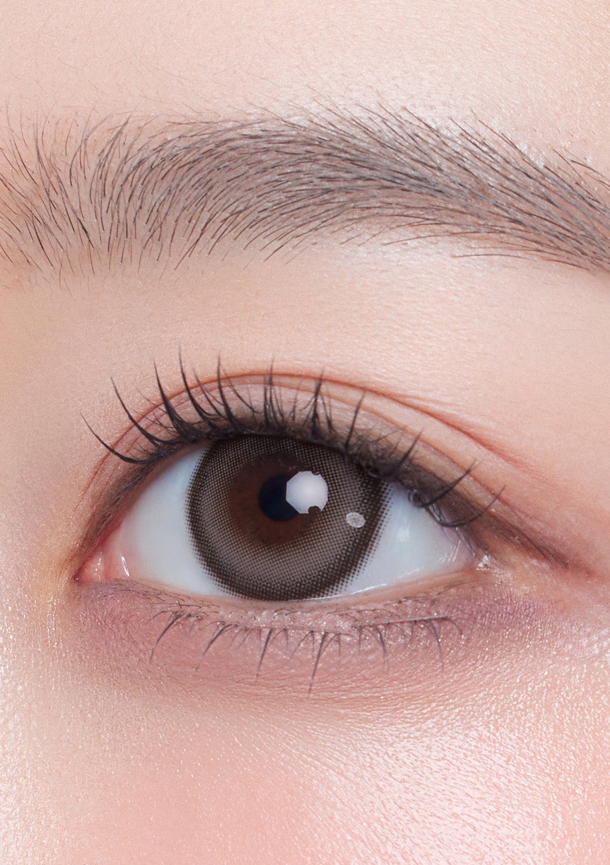 Milk & Tea 13.8 奶油灰