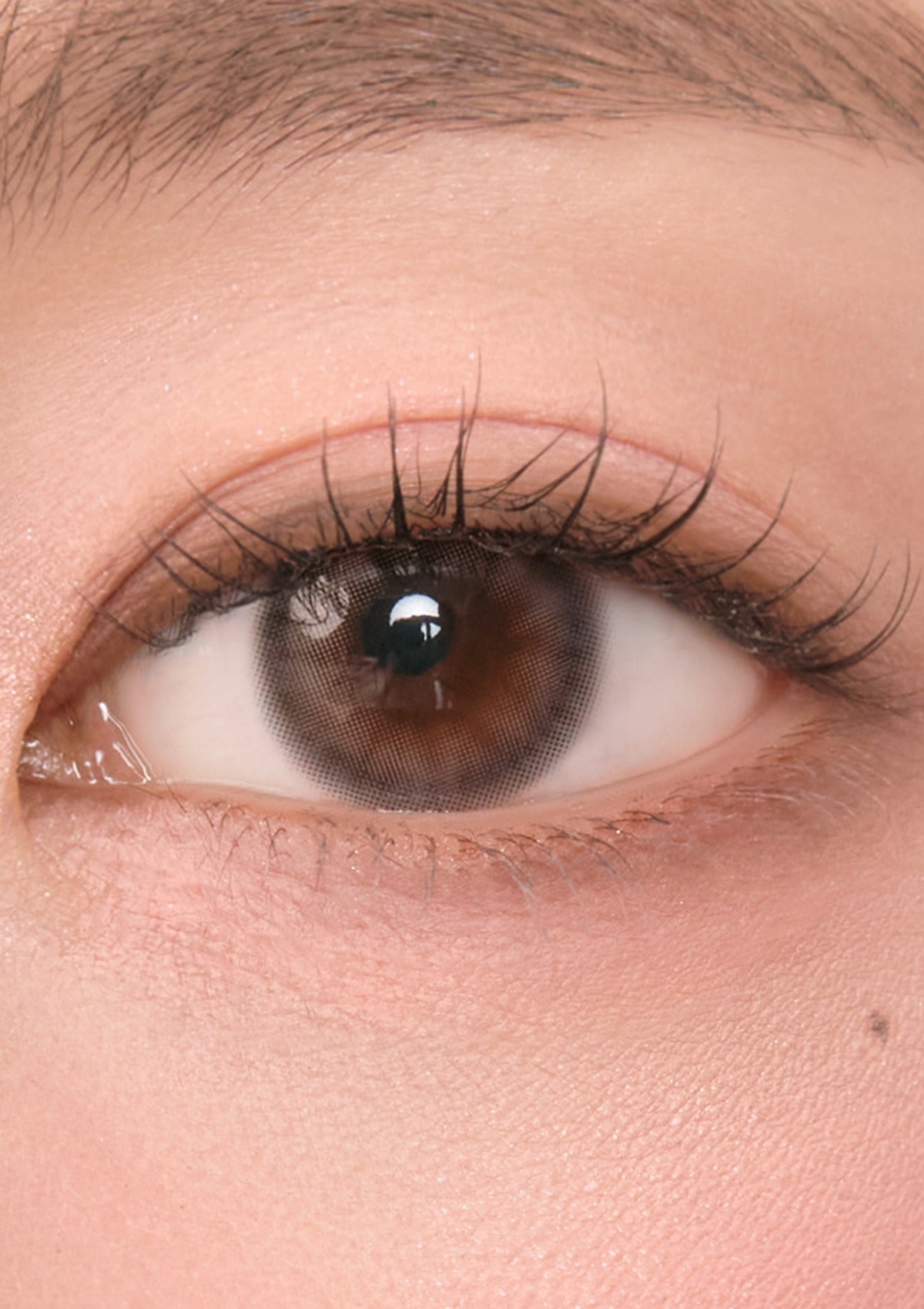 Chuu Lens Cloud Pudding 1 Day Cloud Pudding 1Day 慕絲棕