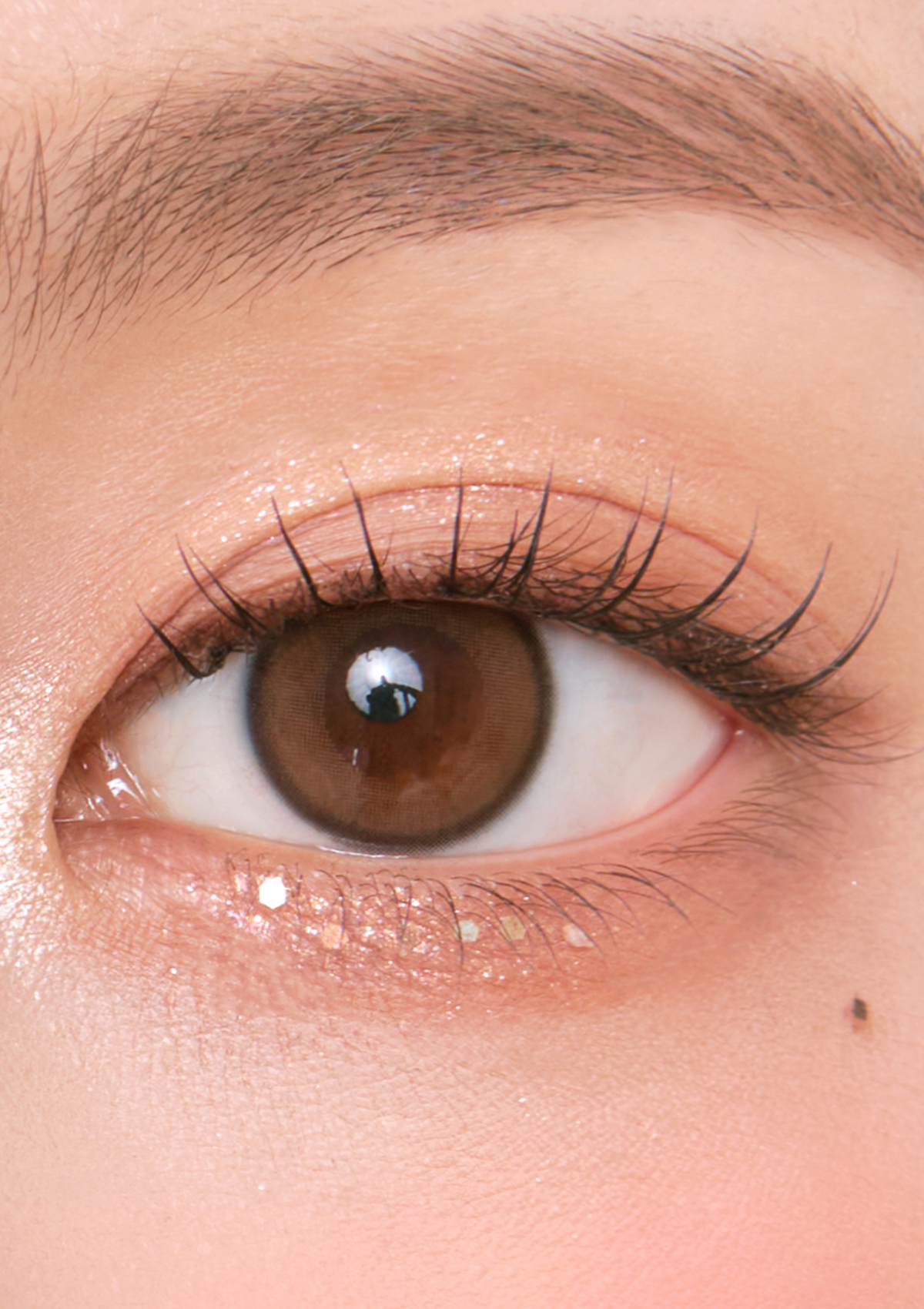 Chuu Lens Aery Rose 1 Day Aery Rose 1DAY 琉璃棕