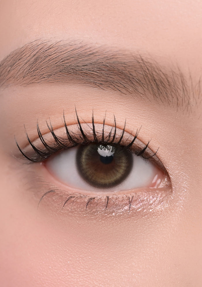 Chuu Lens Lily Daze 1 Day Lily Daze 1DAY 暖陽葉綠