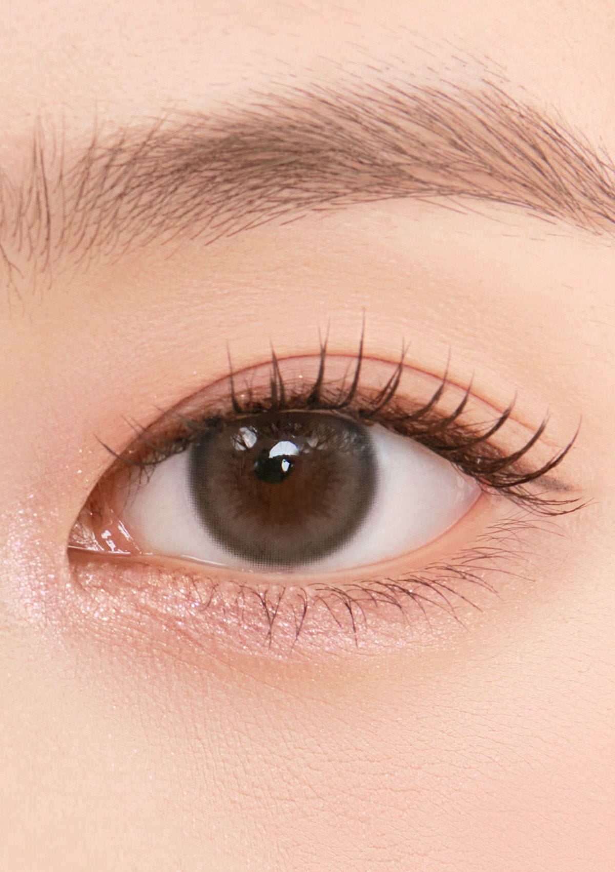 Chuu Lens Pompon Pop 1 Day Pompon Pop 1DAY 泡泡灰