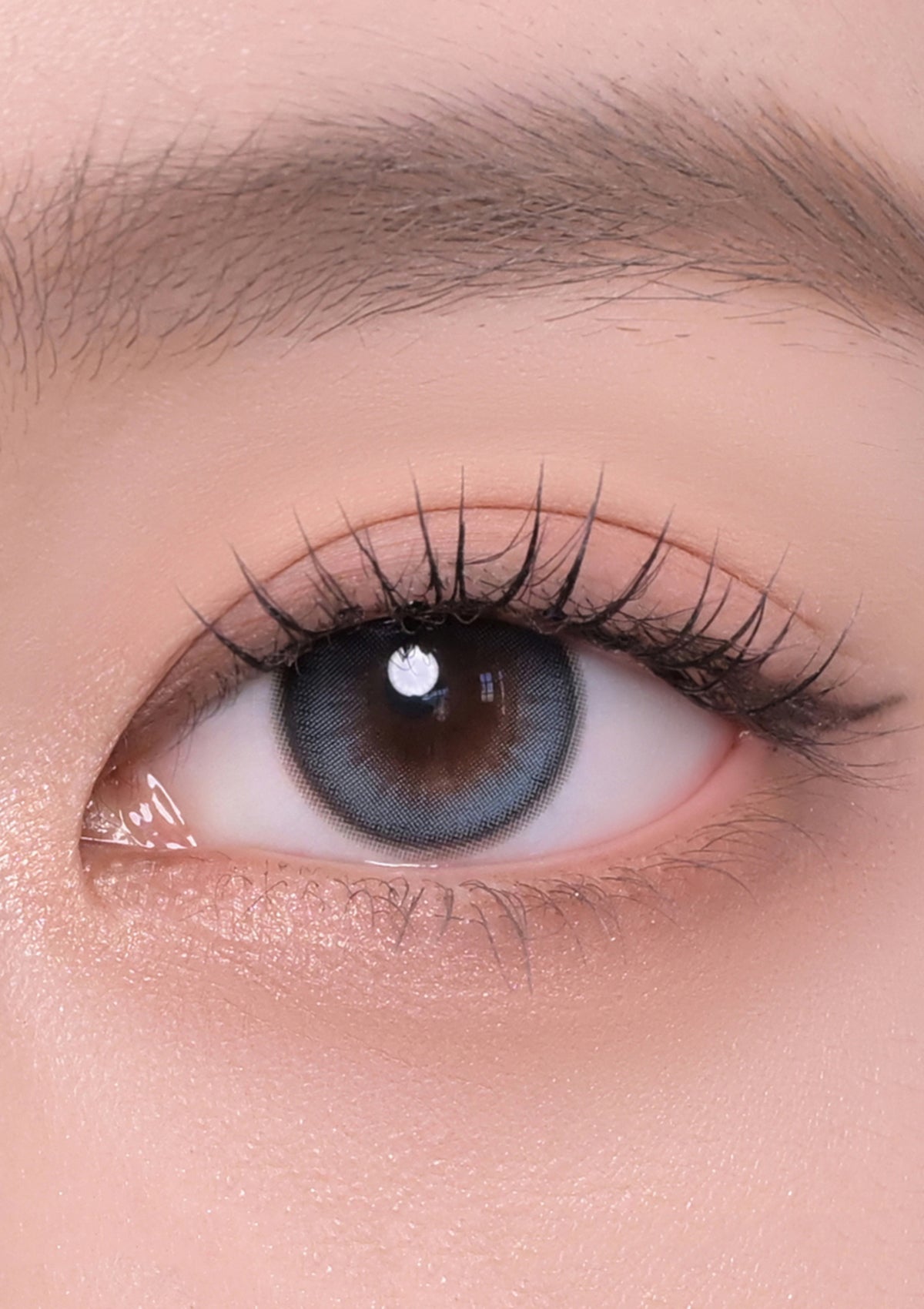 Chuu Lens Daisy Shower 1 Day Daisy Shower 1DAY 純淨藍