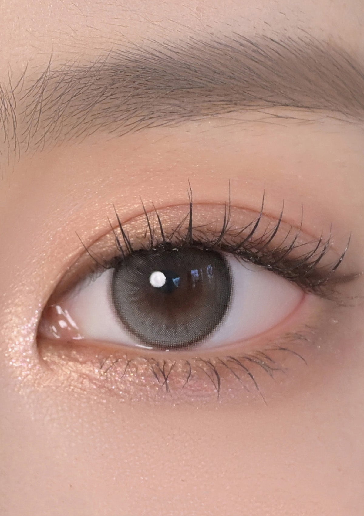 Chuu Lens Daisy Shower 1 Day Daisy Shower 1DAY 純淨灰